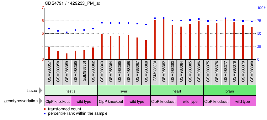 Gene Expression Profile