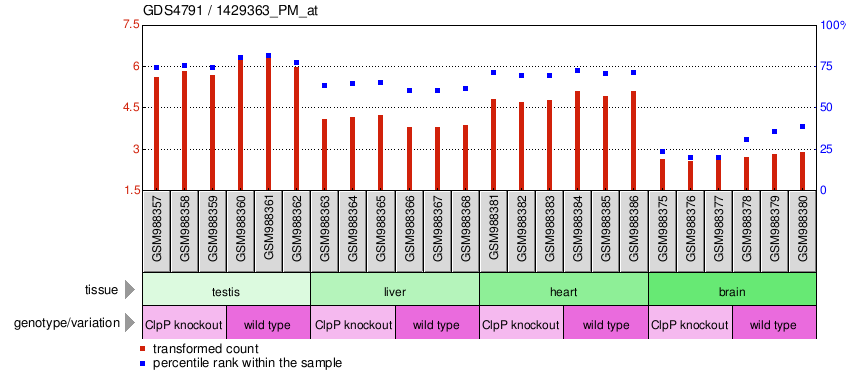 Gene Expression Profile