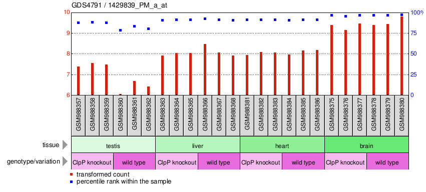 Gene Expression Profile