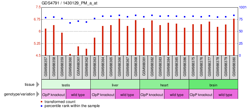 Gene Expression Profile