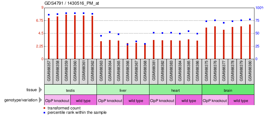 Gene Expression Profile