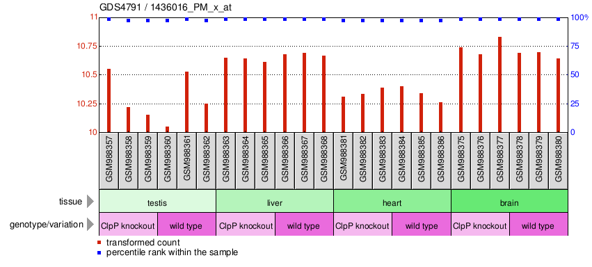 Gene Expression Profile