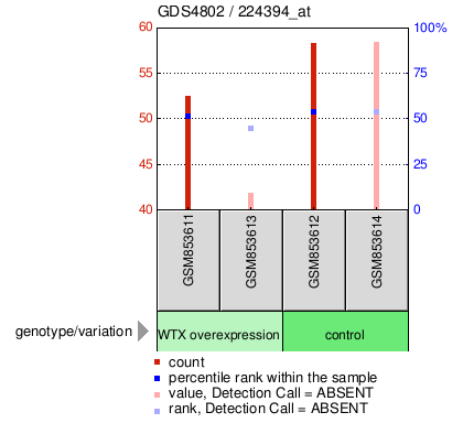 Gene Expression Profile