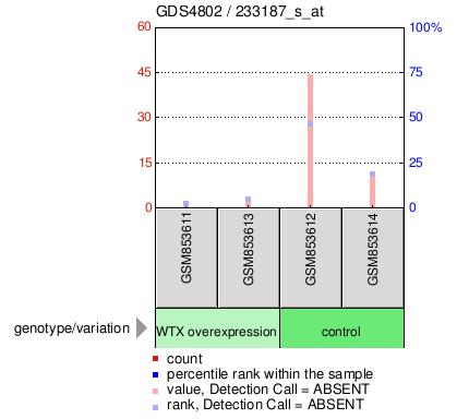 Gene Expression Profile