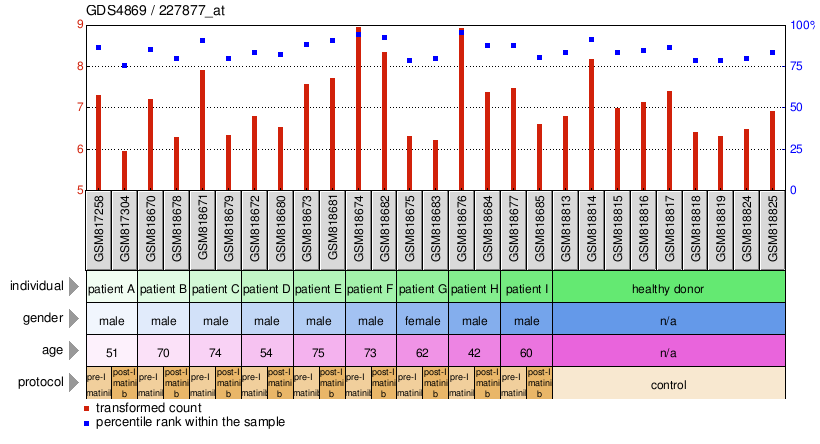 Gene Expression Profile