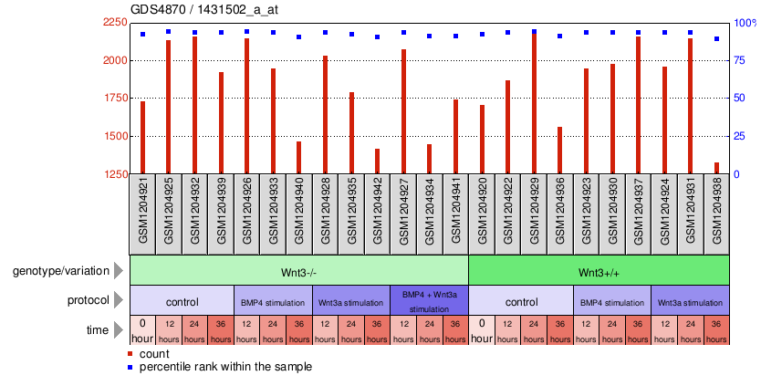 Gene Expression Profile