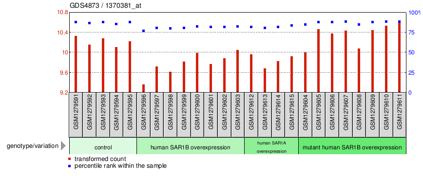 Gene Expression Profile