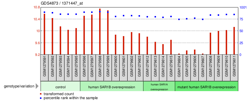 Gene Expression Profile