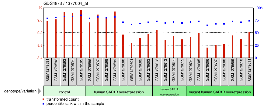 Gene Expression Profile