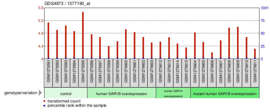 Gene Expression Profile