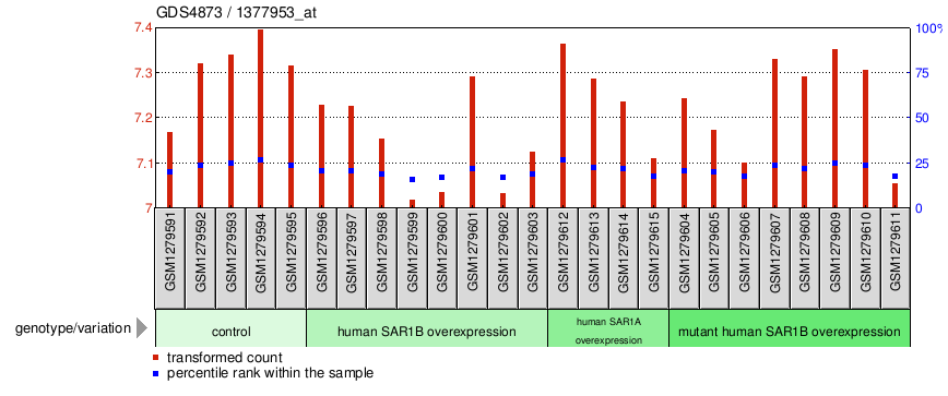 Gene Expression Profile