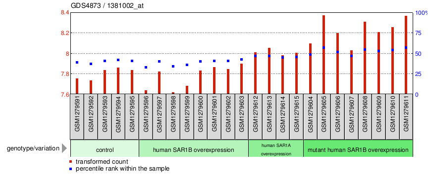 Gene Expression Profile