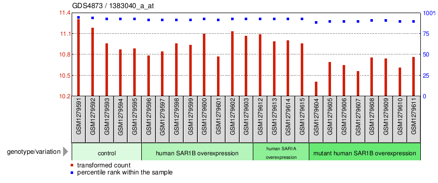 Gene Expression Profile