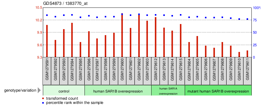 Gene Expression Profile