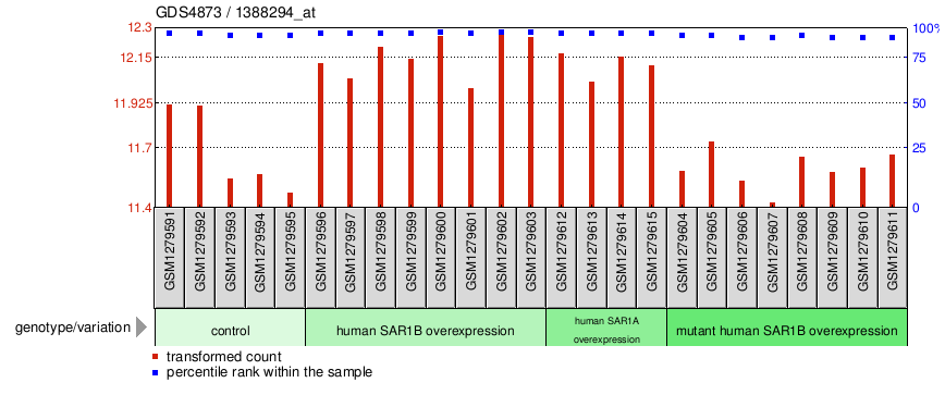 Gene Expression Profile