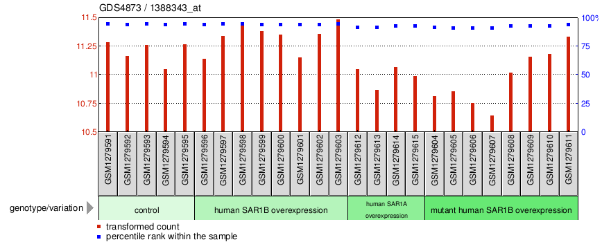 Gene Expression Profile