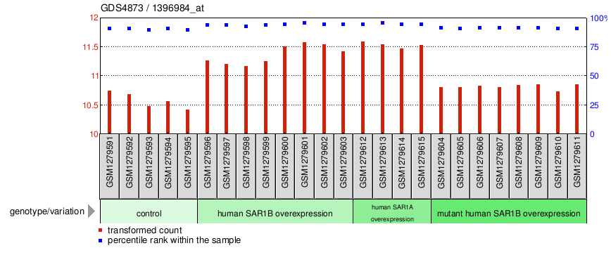 Gene Expression Profile