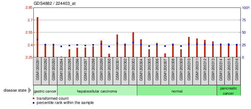 Gene Expression Profile