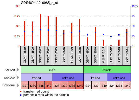 Gene Expression Profile