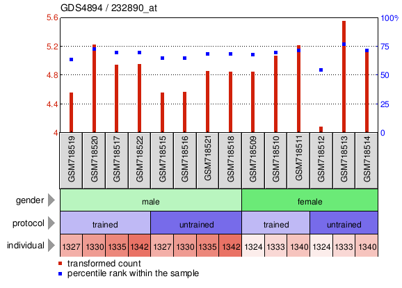 Gene Expression Profile