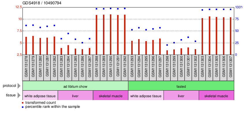 Gene Expression Profile