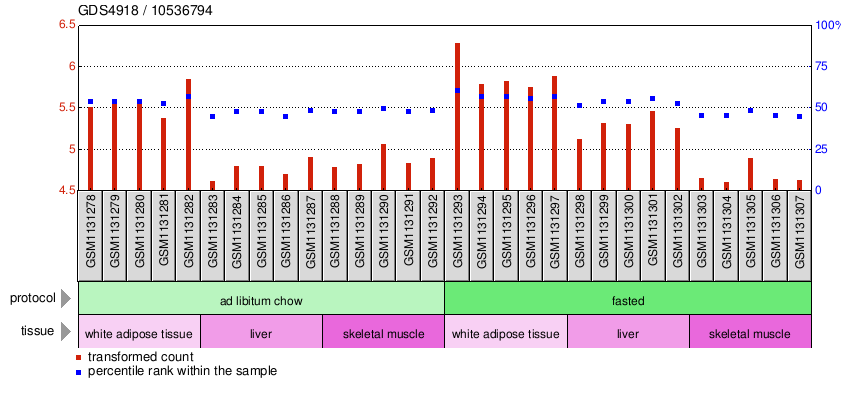 Gene Expression Profile