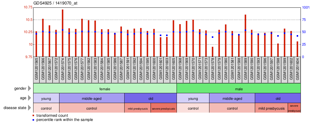 Gene Expression Profile