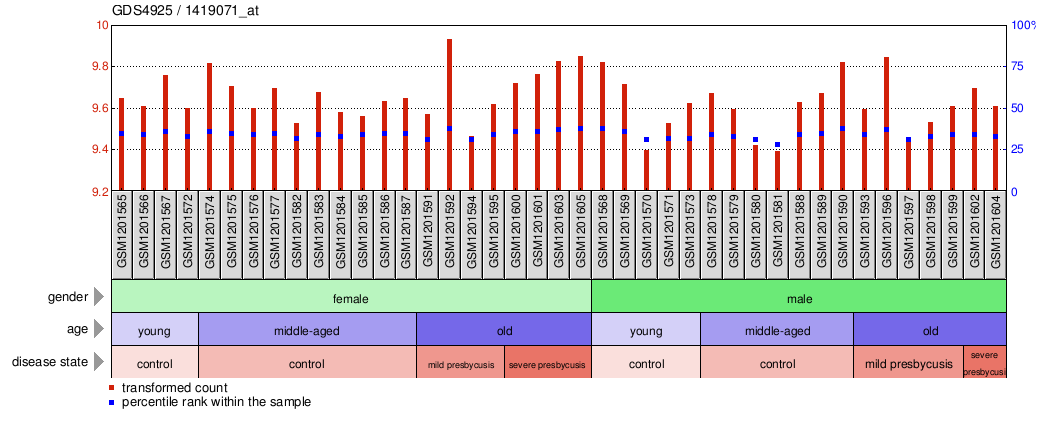 Gene Expression Profile