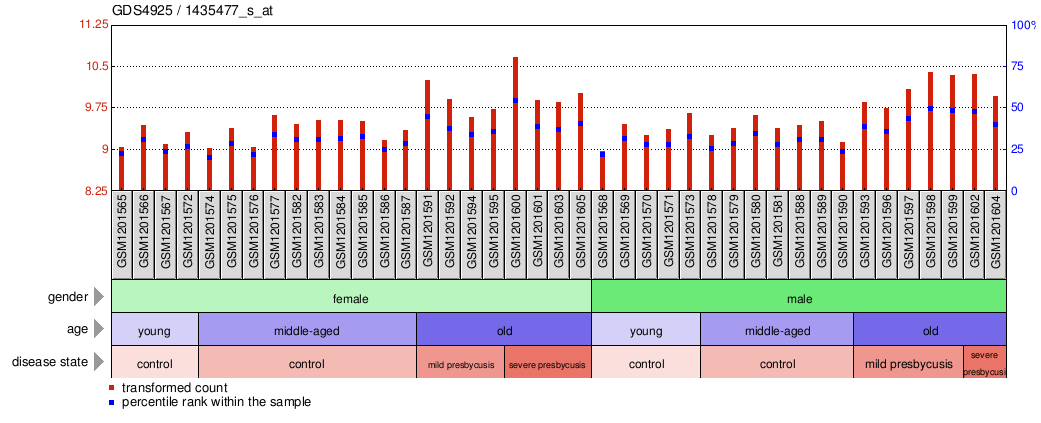 Gene Expression Profile