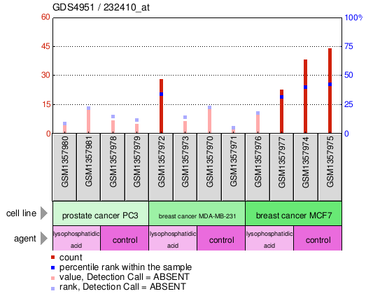 Gene Expression Profile