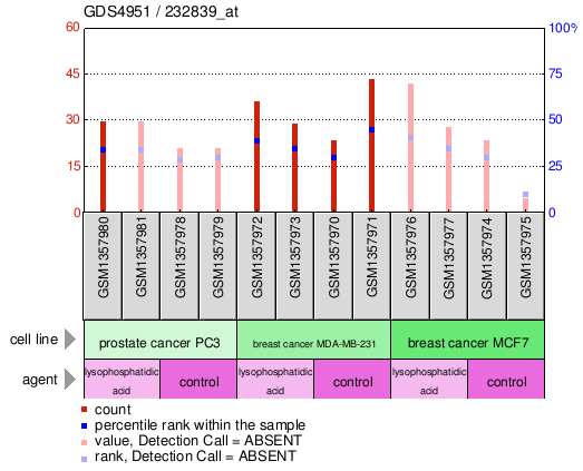 Gene Expression Profile