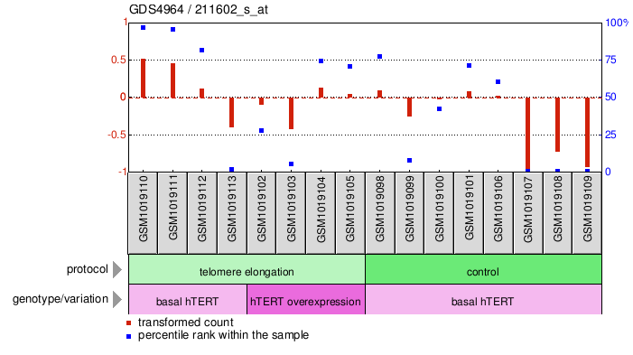 Gene Expression Profile