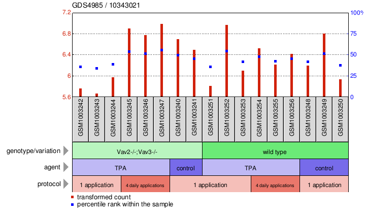 Gene Expression Profile