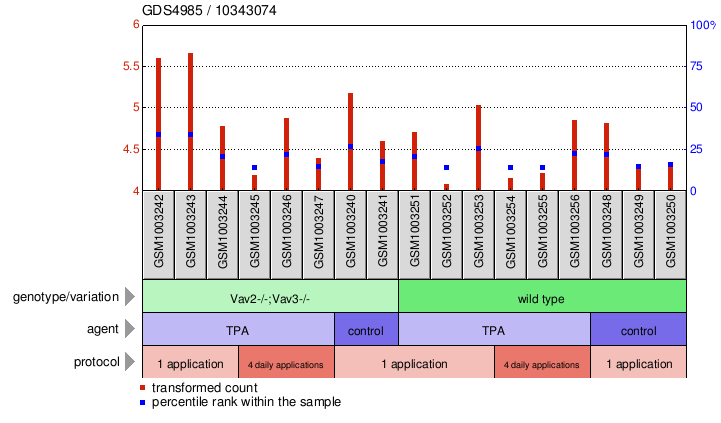 Gene Expression Profile