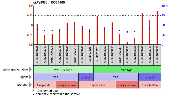 Gene Expression Profile