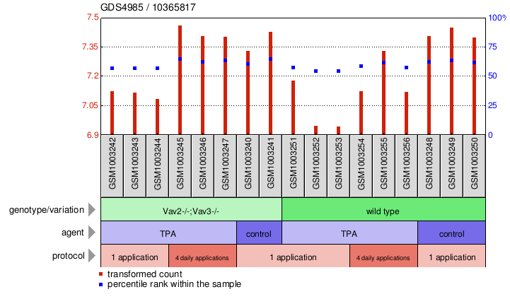 Gene Expression Profile