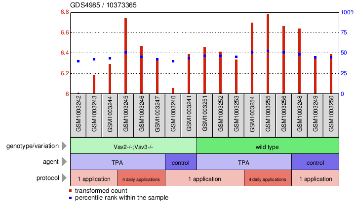 Gene Expression Profile