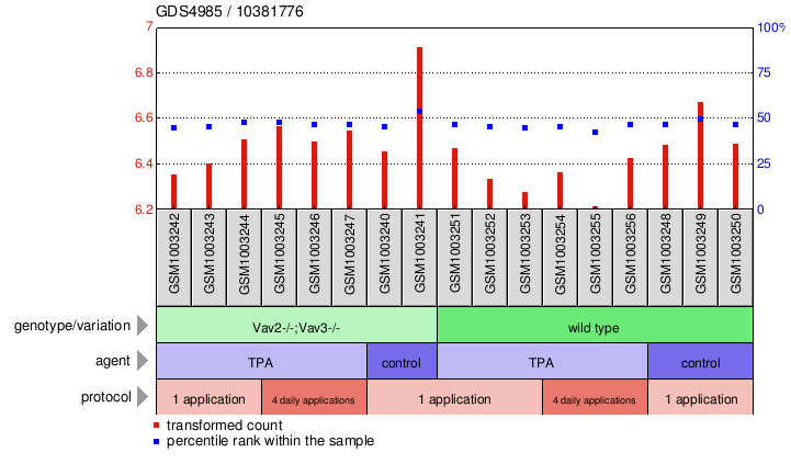 Gene Expression Profile