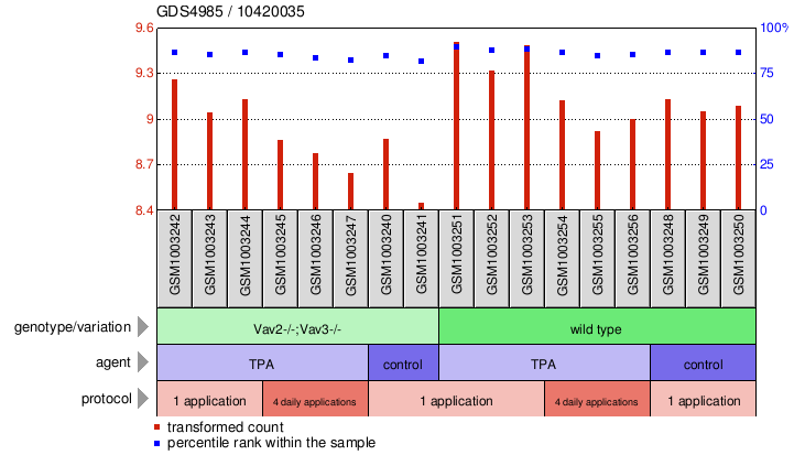 Gene Expression Profile