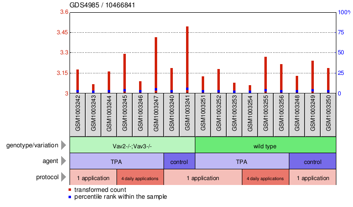 Gene Expression Profile