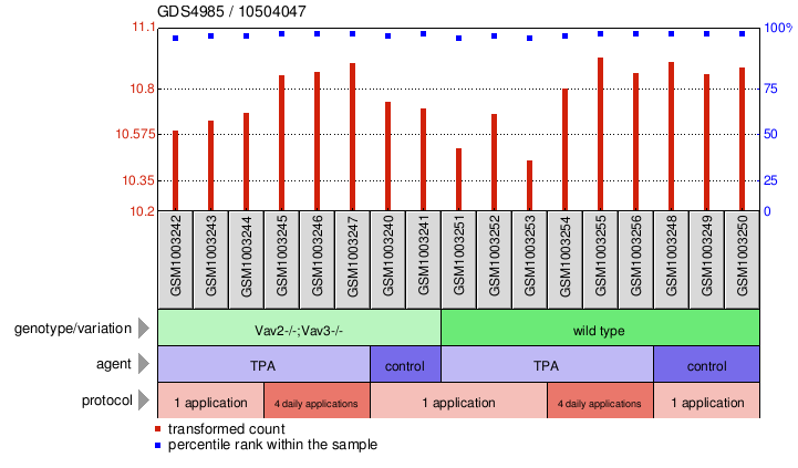 Gene Expression Profile