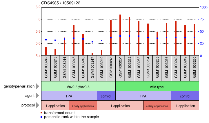 Gene Expression Profile