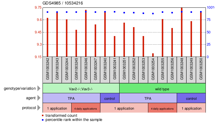 Gene Expression Profile