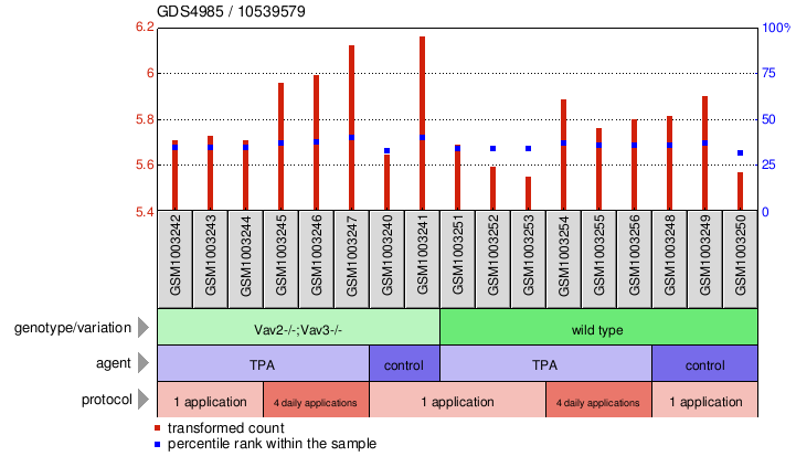 Gene Expression Profile