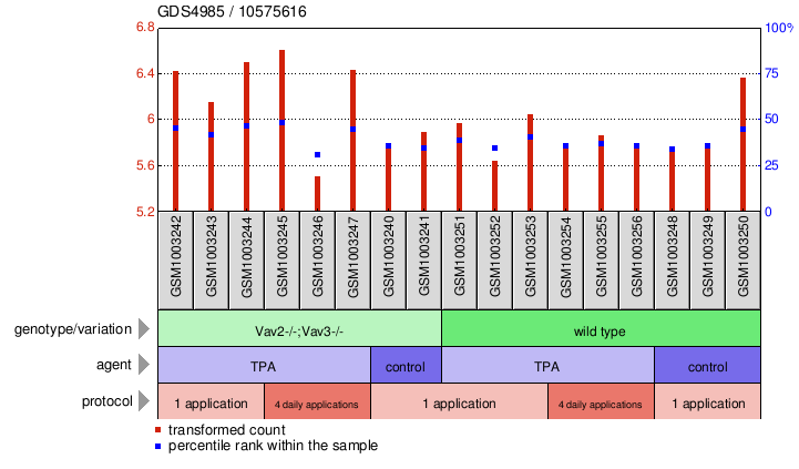 Gene Expression Profile