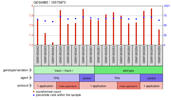 Gene Expression Profile