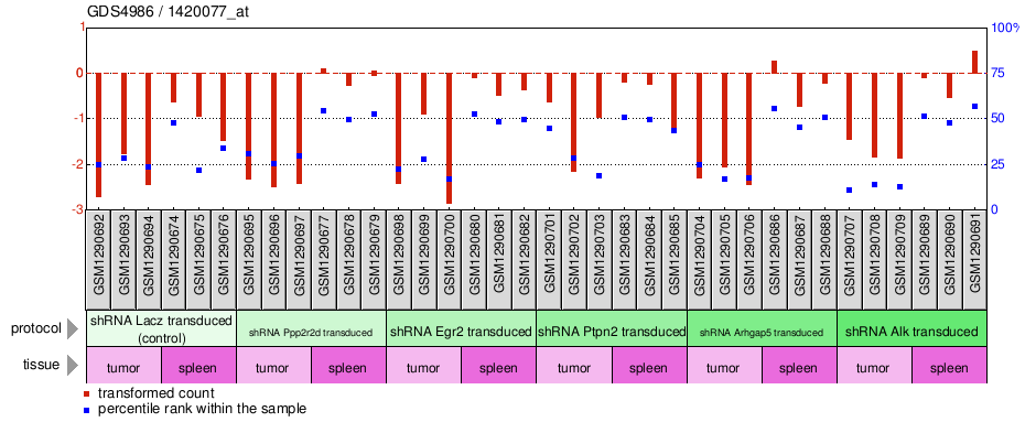 Gene Expression Profile