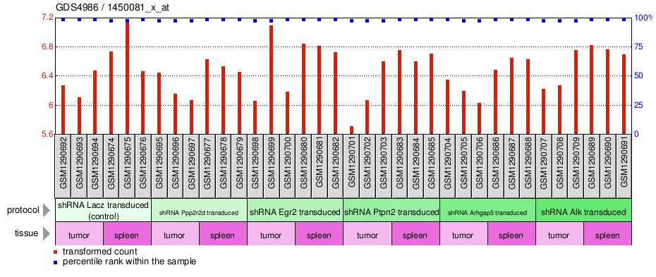 Gene Expression Profile