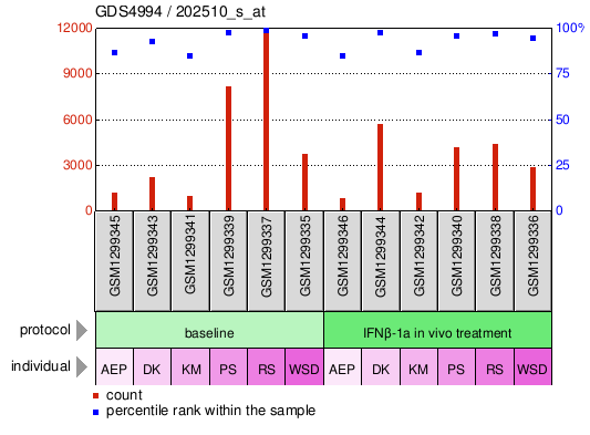 Gene Expression Profile