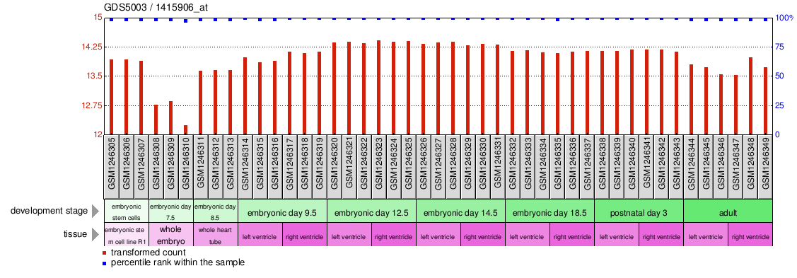 Gene Expression Profile